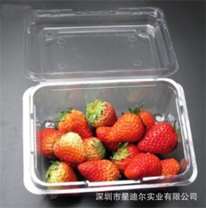 水果草莓视频APP黄版